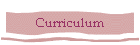Curriculum