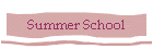Summer School