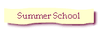 Summer School